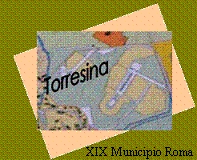 Torresinanet