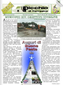 PicchioDicembre2013
