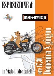 HarleyRadunoTorresina2014