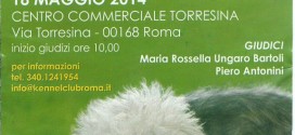 Terza esposizione regionale canina di Roma