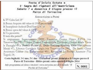 BigliettoLotteriaTorresina2014