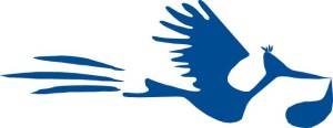 Cicogna