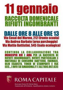 RaccoltaIngombranti11Gennaio2015